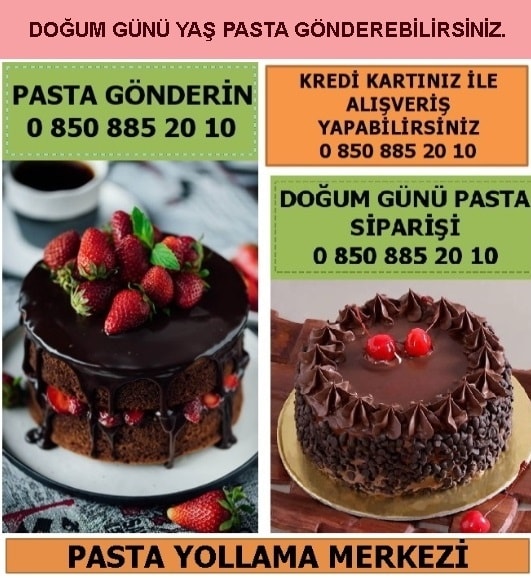 Diyarbakr Selahattineyyubi Yeniky Mahallesi ya pasta yolla sipari gnder doum gn pastas